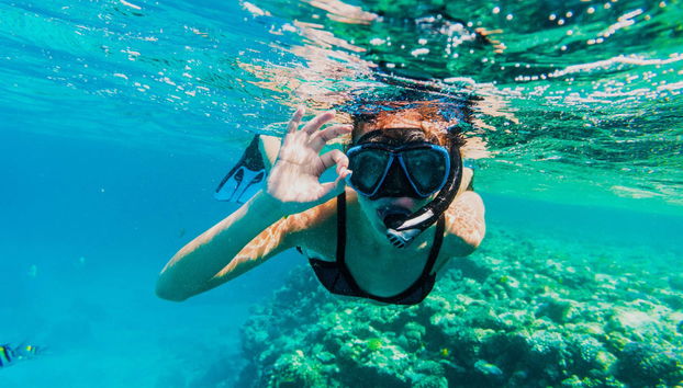 Snorkel con tortugas y mantarrayas - Foto 3