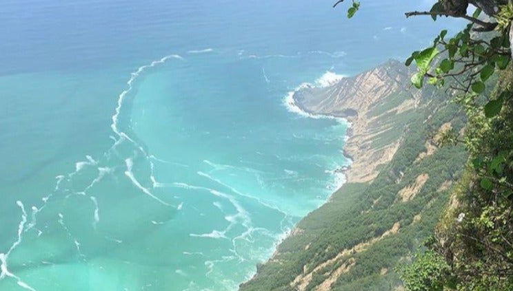 Private Tour of West Salalah - Foto 1