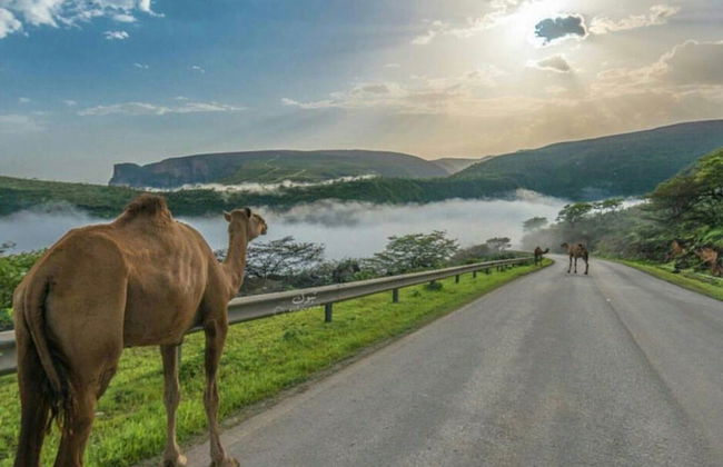 Private Tour of West Salalah - Photo 3