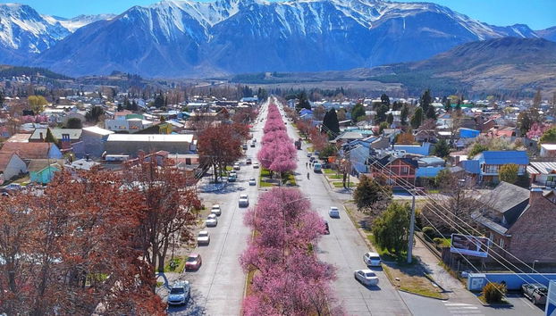 Esquel and La Hoya Tour - Photo 4