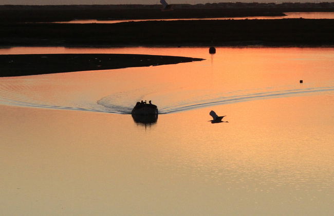 Paseo en barco por la Ría Formosa al atardecer - Foto 2