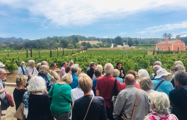 Visita a una finca de naranjos de Carcagente - Foto 2