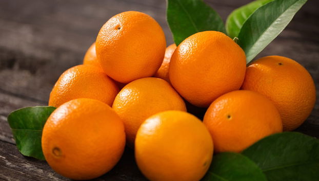 Carcagente Orange Grove Tour - Photo 2