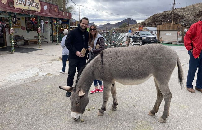 Excursión a Oatman + Museo de la Ruta 66 - Foto 4