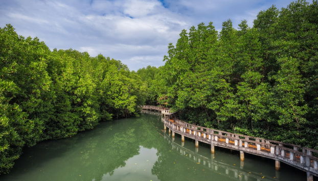 Tour por Koh Chang - Foto 2