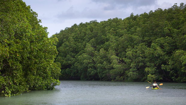 Tour por Koh Chang - Foto 4