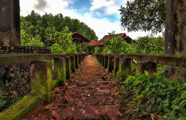 Ko Chang Tour - Photo 2