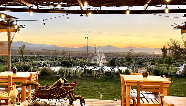 Dégustation de vin et de fromage dans la vallée de Ojos Negros - Photo 2