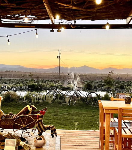 Foto de Cata de vino y queso en el Valle de Ojos Negros