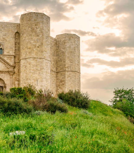 Foto de Visita guiada privada por el Castel del Monte