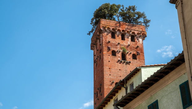 Visita guiada por Lucca - Foto 4