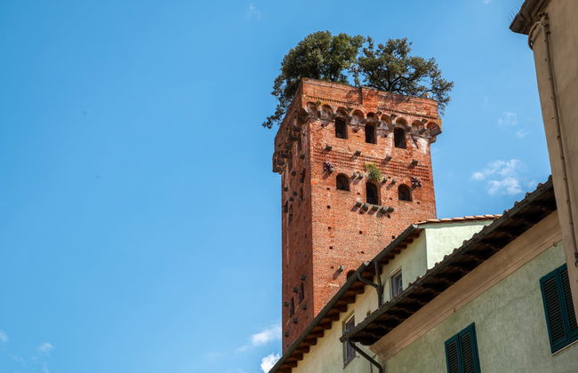Visita guiada por Lucca - Foto 4