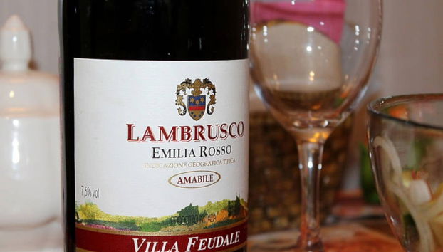 Visite d'une cave à lambrusco - Photo 4