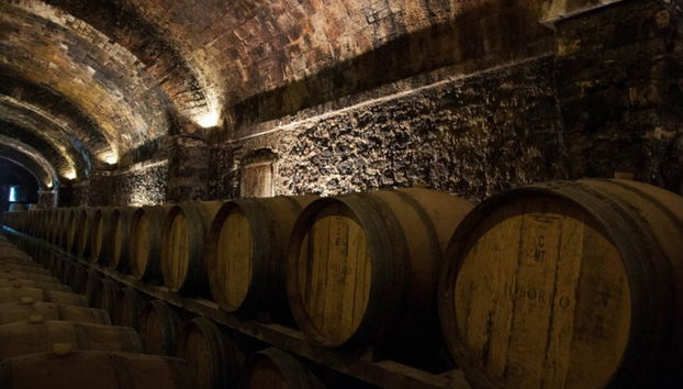 Visite d'une cave à lambrusco - Photo 3