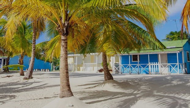 Saona Island Cruise - Photo 5