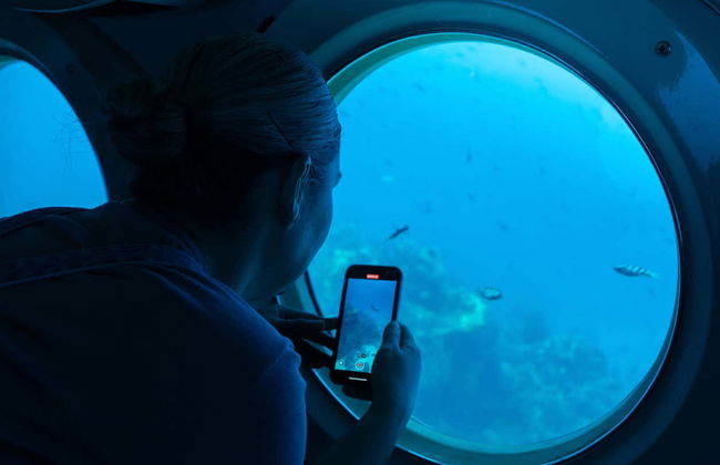 Paseo en submarino por Cozumel - Foto 13