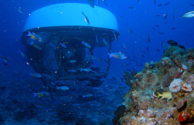 Paseo en submarino por Cozumel - Foto 4