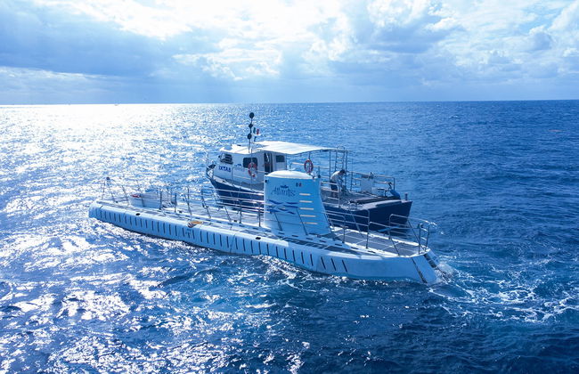Paseo en submarino por Cozumel - Foto 10