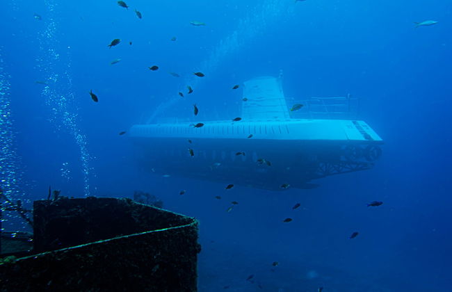 Paseo en submarino por Cozumel - Foto 9