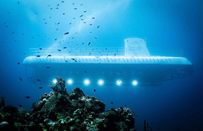Paseo en submarino por Cozumel - Foto 12
