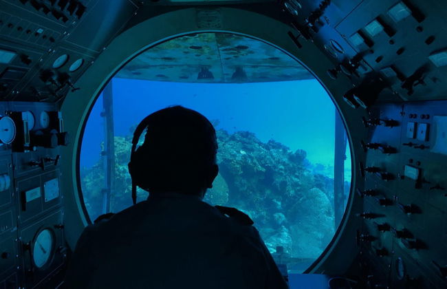 Paseo en submarino por Cozumel - Foto 2