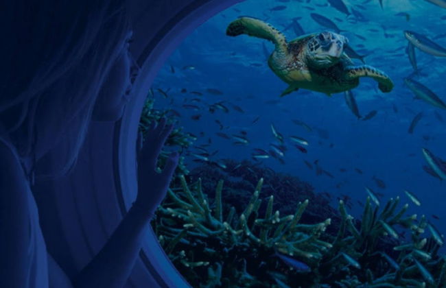 Paseo en submarino por Cozumel - Foto 3