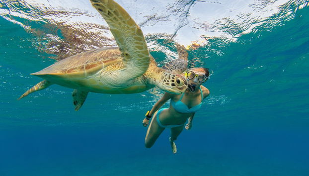 Paseo en barco al atardecer + Snorkel - Foto 2