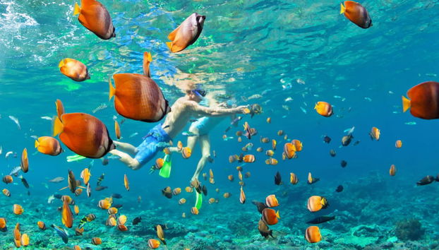 Paseo en barco al atardecer + Snorkel - Foto 3