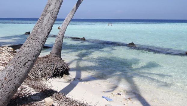 Excursión a las islas de Gulhi y Maafushi - Foto 4