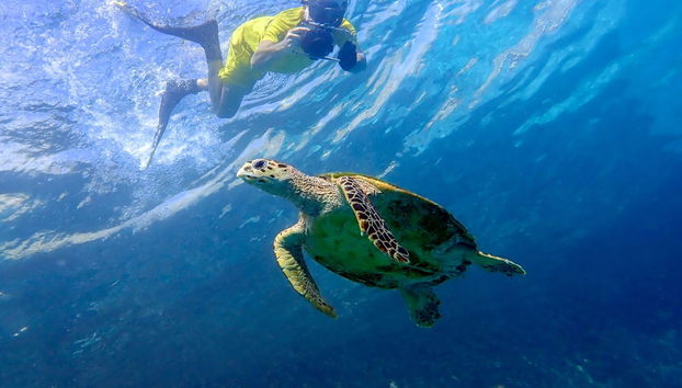 Excursión a las islas de Gulhi y Maafushi - Foto 2