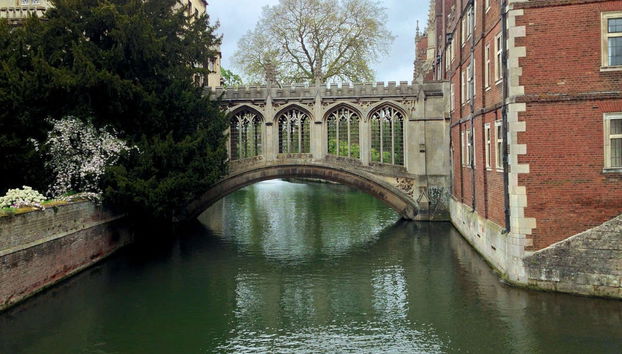 Tour privato di Cambridge - Foto 5