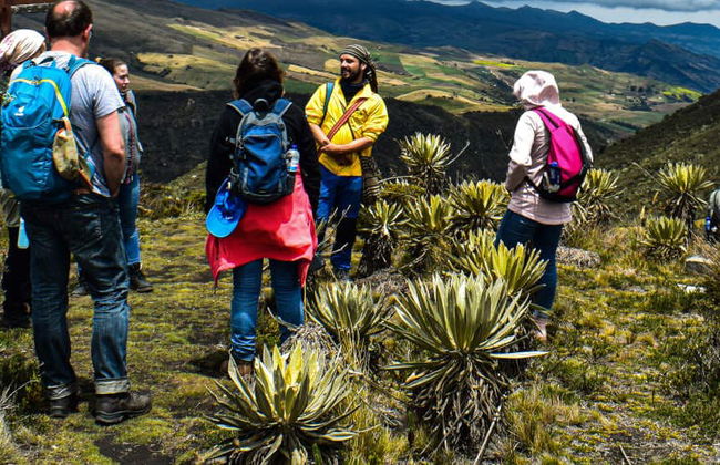 Excursión al Páramo de Sumapaz - Foto 8