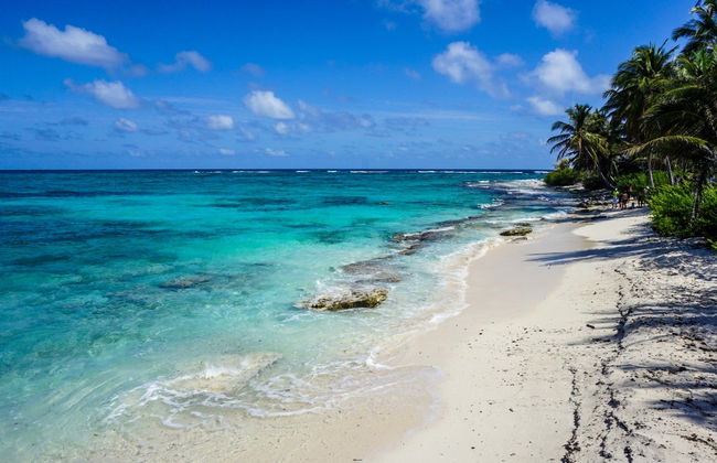 Excursão a Johnny Cay + Aquário natural - Foto 2