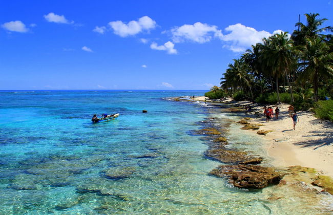 Excursão a Johnny Cay + Aquário natural - Foto 3