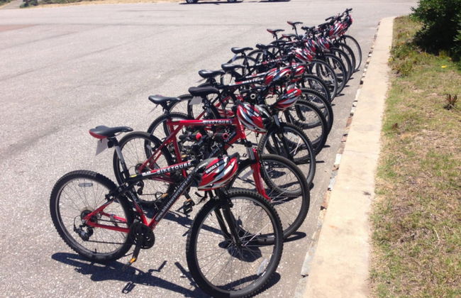 Tour en bicicleta por Punta del Este - Foto 3