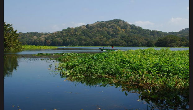Gatun Lake & Monkey Island Boat Ride - Foto 3