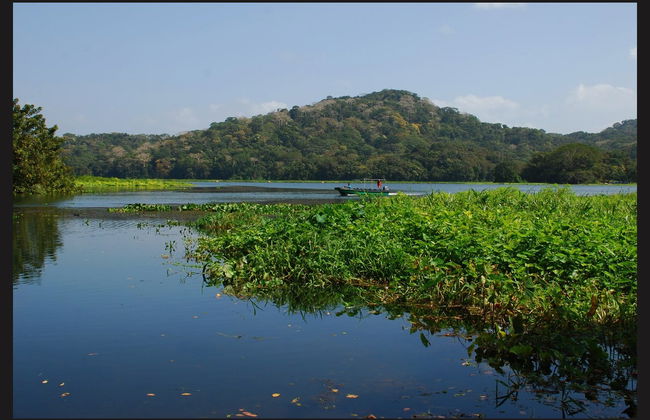 Gatun Lake & Monkey Island Boat Ride - Foto 3