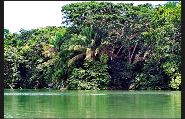 Gatun Lake & Monkey Island Boat Ride - Foto 1