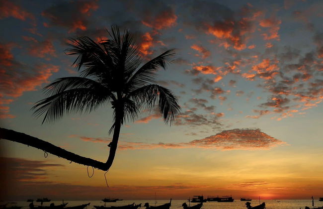 Paddle au coucher de soleil - Photo 6