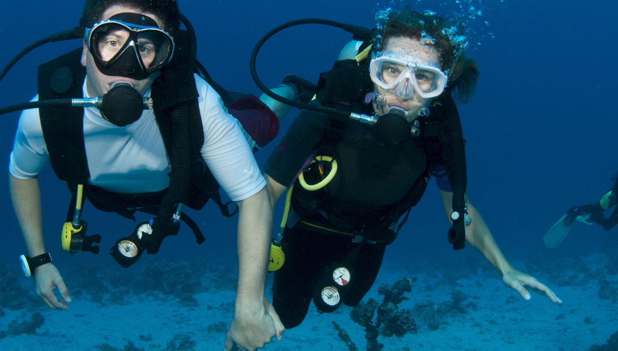 Introduction to Scuba Diving - Foto 1