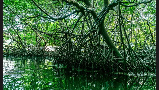 Tour in kayak al tramonto della Laguna Grande - Foto 3
