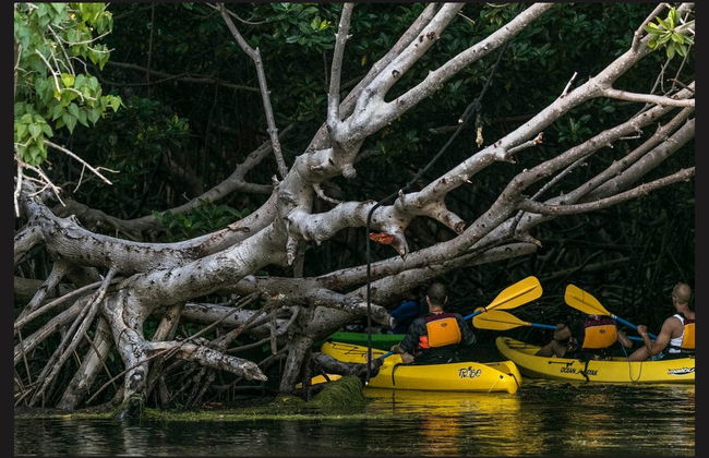 Tour en kayak por la laguna Grande al anochecer - Foto 6