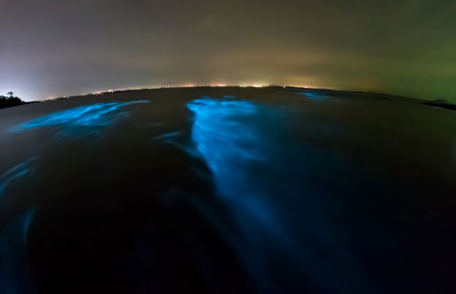 Tour en kayak por la laguna Grande al anochecer - Foto 7
