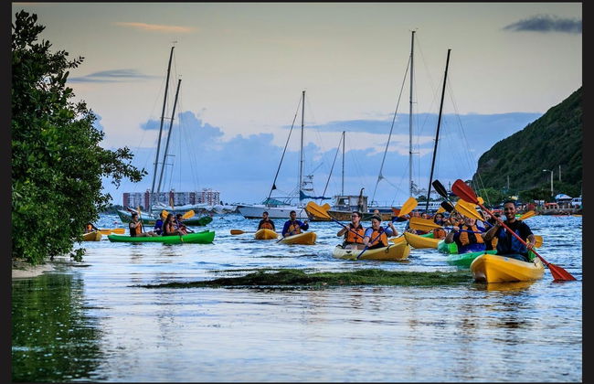 Tour en kayak por la laguna Grande al anochecer - Foto 5