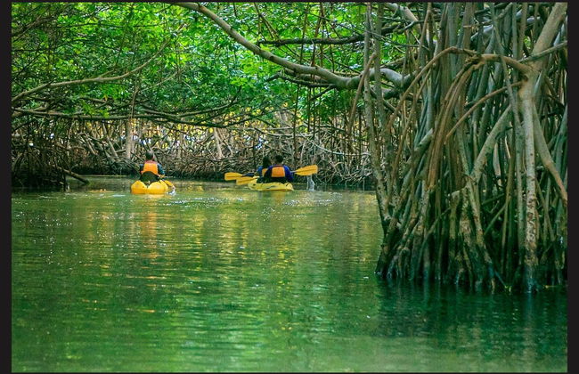 Tour en kayak por la laguna Grande al anochecer - Foto 2