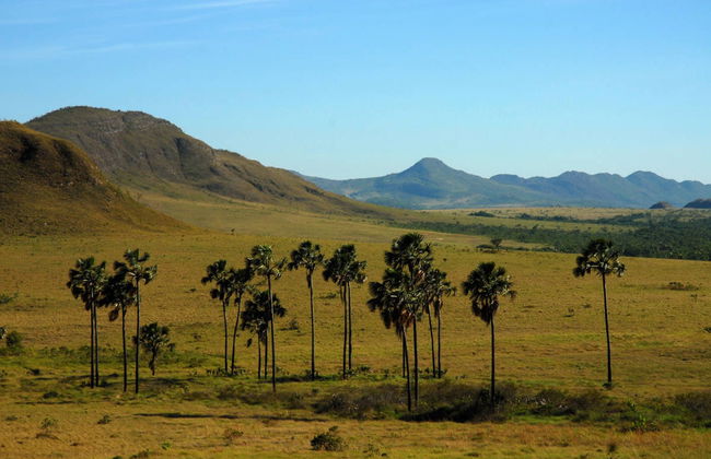 Escursione privata a Chapada dos Veadeiros - Foto 6