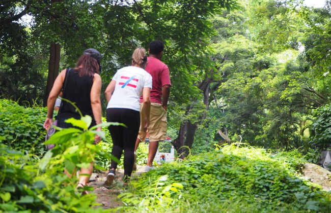 Rock Climbing in Mogote del Valle - Photo 4