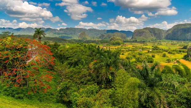 Tour privado en coche clásico por el Valle de Viñales - Foto 2
