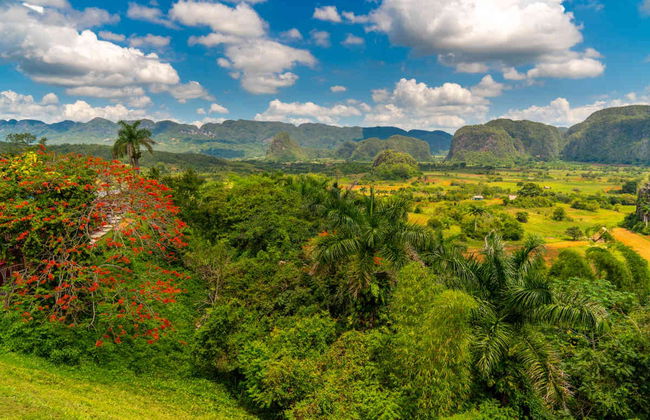 Viñales Valley Private Classic Car Tour - Foto 2
