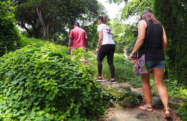 Rock Climbing in Mogote del Valle - Photo 2